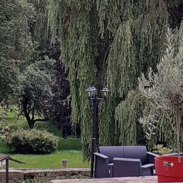 Le Domaine D'Elise Chambres Et Table D'Hotes - Vosges Saint-Ouen-les-Parey Buitenkant foto